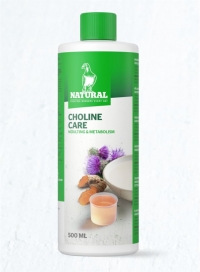 Natural Choline Care 500 ml 